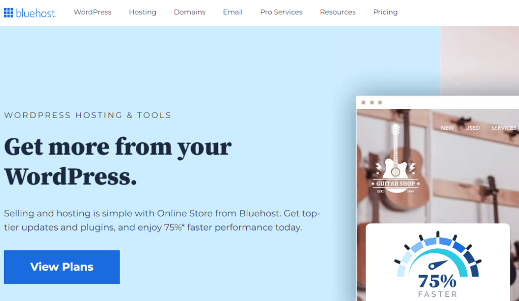 Bluehost Hero - Best WordPress Hosting - Adeoti Digital