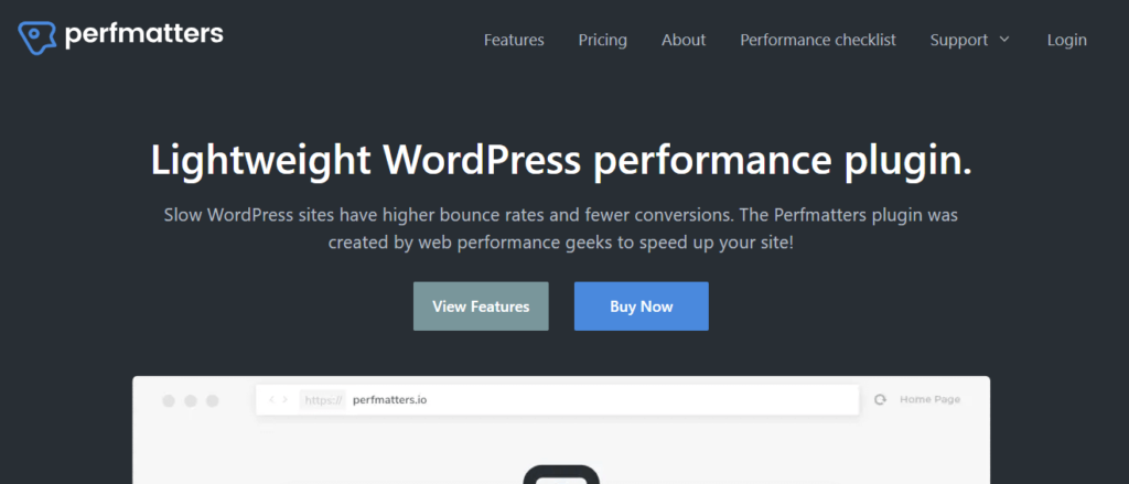 Perfmatters Hero - Best WordPress Speed Plugin - Adeoti Digital