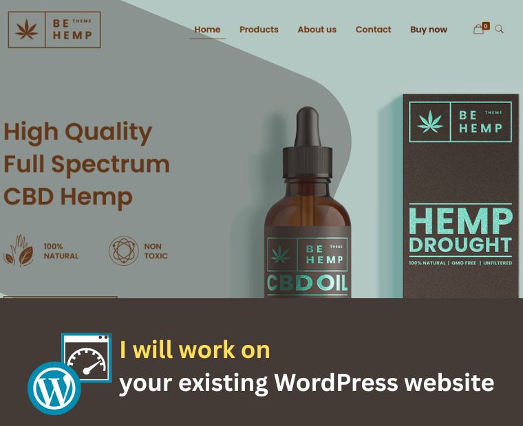 optimize your WordPress website with Adeoti Web Developer